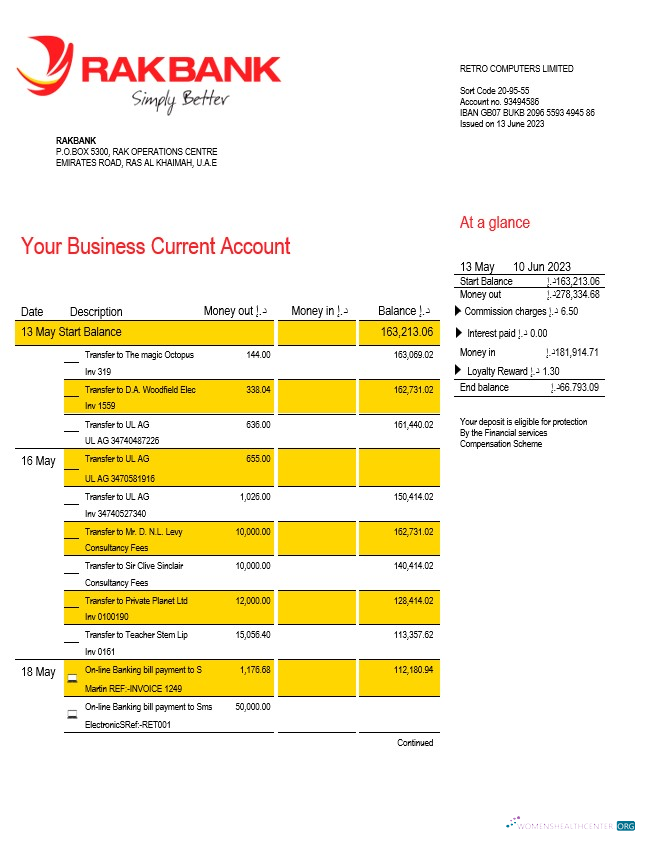 Download Rakbank enterprise account statement Word and PDF template Photoshop template